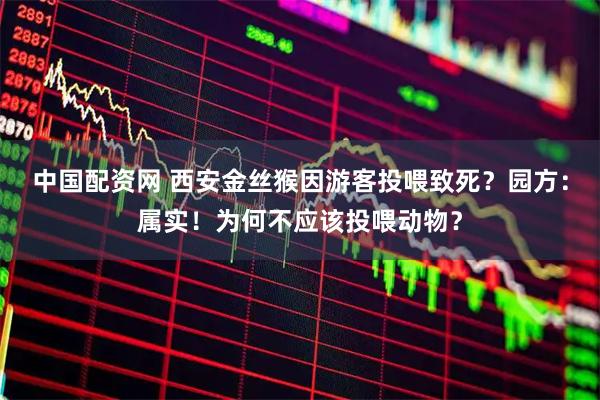中国配资网 西安金丝猴因游客投喂致死？园方：属实！为何不应该投喂动物？