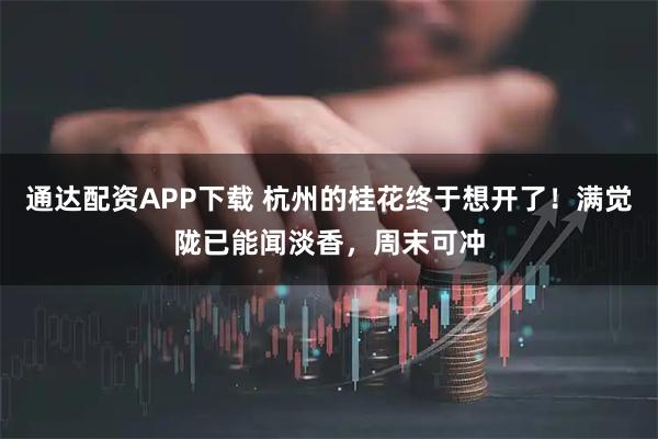 通达配资APP下载 杭州的桂花终于想开了！满觉陇已能闻淡香，周末可冲